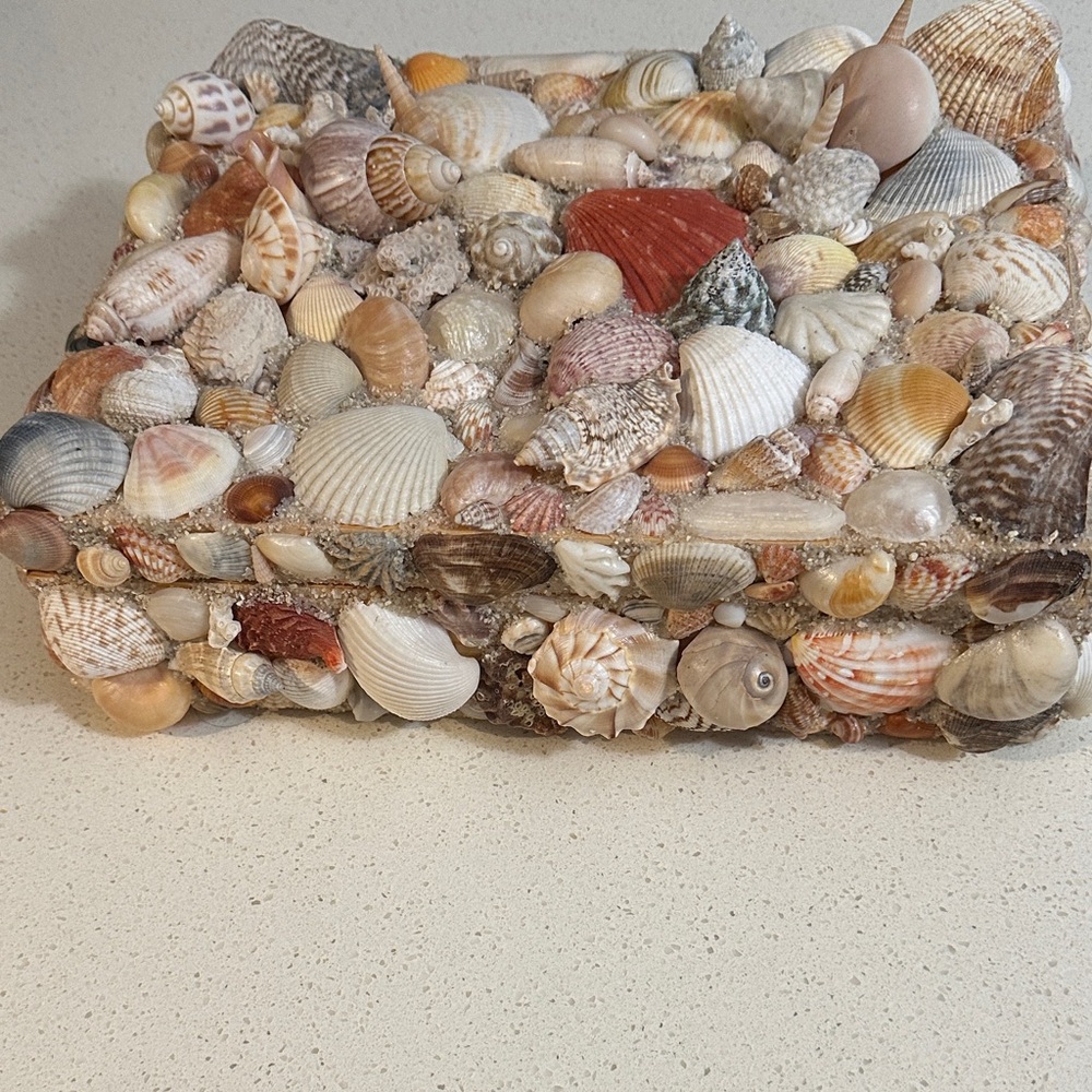 Seashell Decorative Box